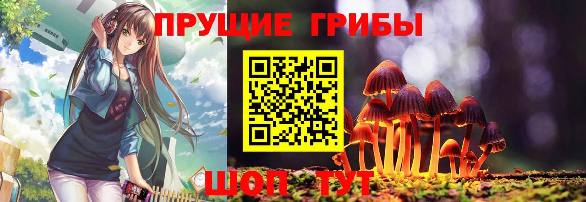 Конопля Россия