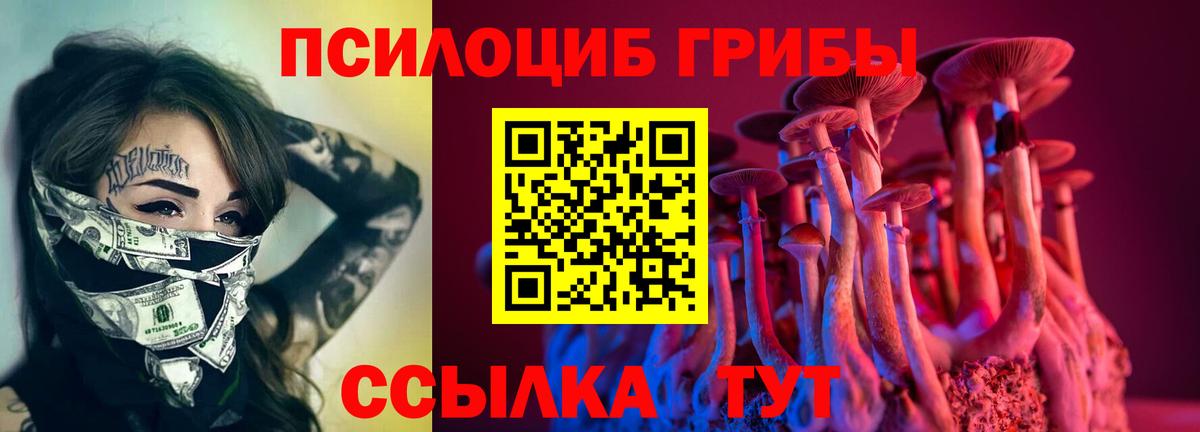 Псилоцибиновые грибы GOLDEN TEACHER Россия